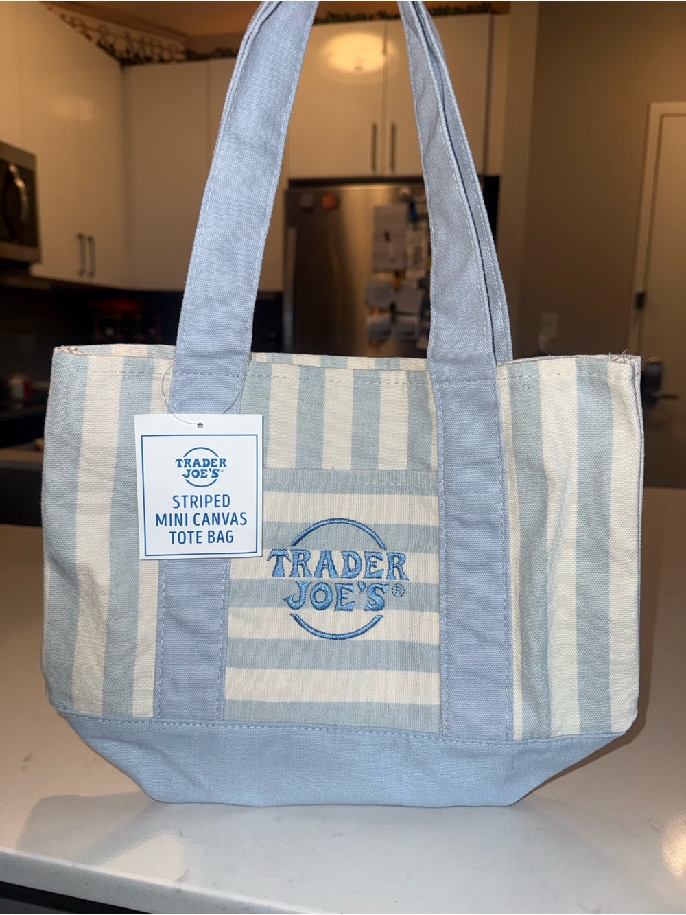 Trader Joe's Blue Striped Mini Canvas Tote